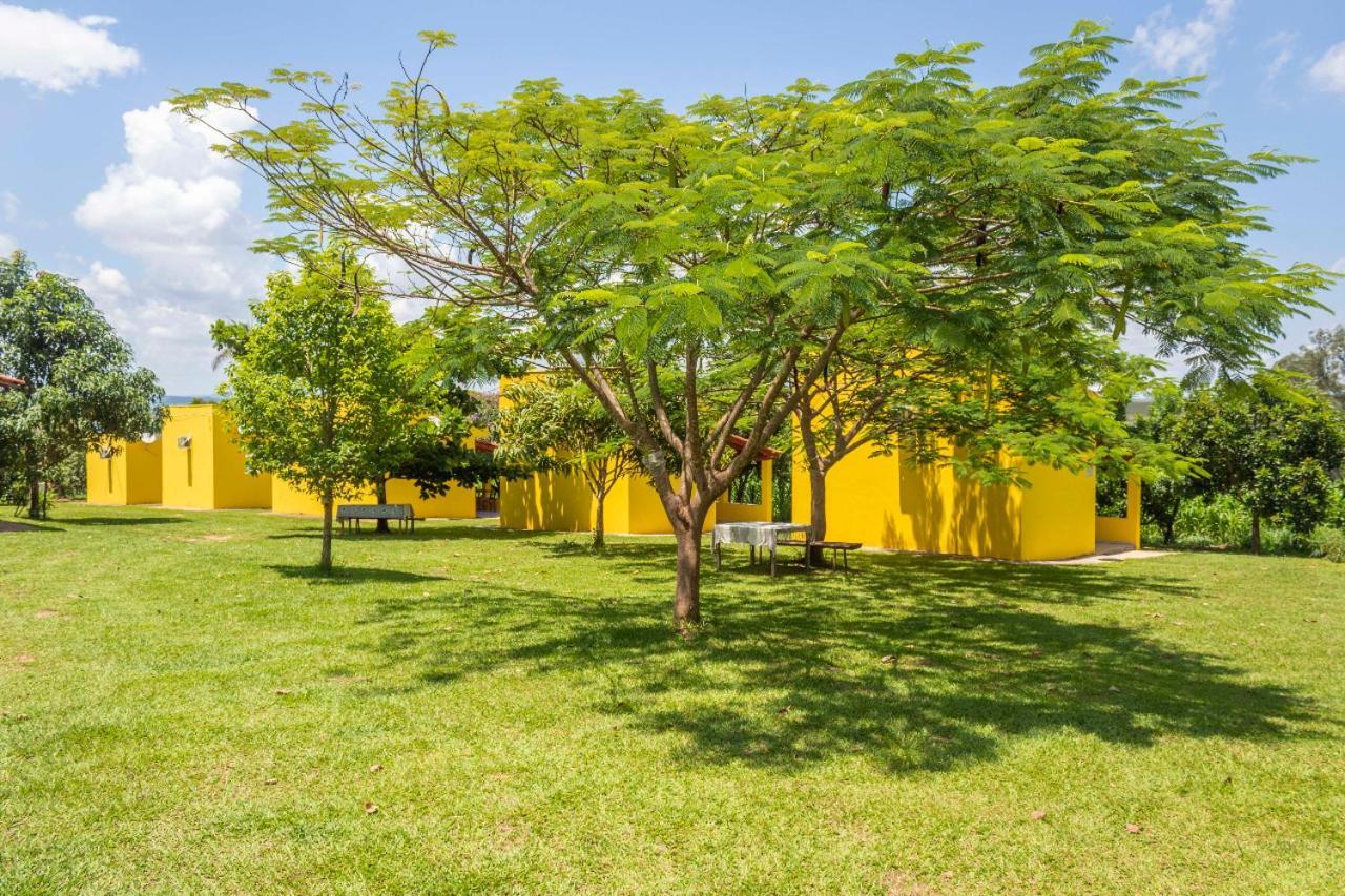Vermelha * São João Batista do Glória